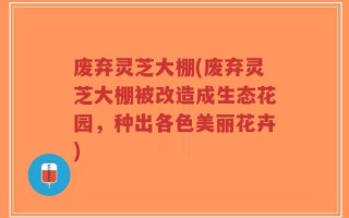 废弃灵芝大棚(废弃灵芝大棚被改造成生态花园，种出各色美丽花卉)