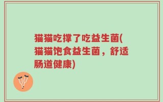 猫猫吃撑了吃益生菌(猫猫饱食益生菌，舒适肠道健康)