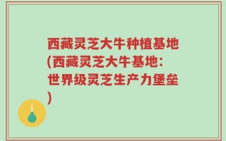 西藏灵芝大牛种植基地(西藏灵芝大牛基地：世界级灵芝生产力堡垒)
