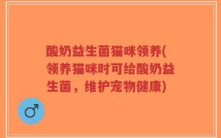 酸奶益生菌猫咪领养(领养猫咪时可给酸奶益生菌，维护宠物健康)