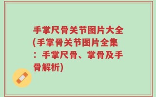 手掌尺骨关节图片大全(手掌骨关节图片全集：手掌尺骨、掌骨及手骨解析)