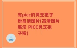 有picc的灵芝孢子粉高清图片(高清图片展示 PICC灵芝孢子粉)