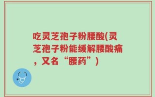 吃灵芝孢子粉腰酸(灵芝孢子粉能缓解腰酸痛，又名“腰药”)
