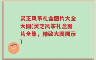 灵芝风筝礼盒图片大全大图(灵芝风筝礼盒图片全集，精致大图展示)