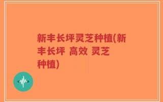 新丰长坪灵芝种植(新丰长坪 高效 灵芝 种植)
