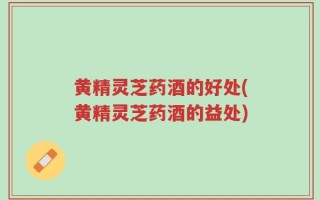黄精灵芝药酒的好处(黄精灵芝药酒的益处)