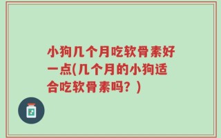 小狗几个月吃软骨素好一点(几个月的小狗适合吃软骨素吗？)