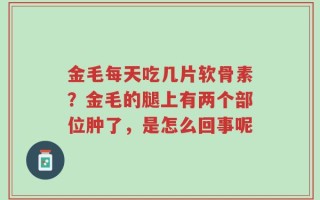 金毛每天吃几片软骨素？金毛的腿上有两个部位肿了，是怎么回事呢