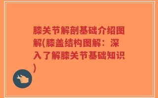 膝关节解剖基础介绍图解(膝盖结构图解：深入了解膝关节基础知识)
