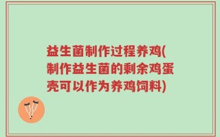 益生菌制作过程养鸡(制作益生菌的剩余鸡蛋壳可以作为养鸡饲料)
