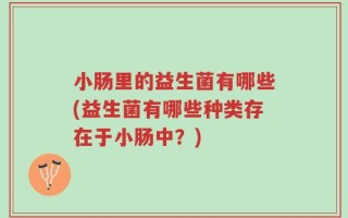 小肠里的益生菌有哪些(益生菌有哪些种类存在于小肠中？)