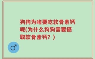 狗狗为啥要吃软骨素钙呢(为什么狗狗需要摄取软骨素钙？)