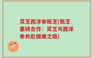 灵芝西洋参甄芝(甄芝重磅合作：灵芝与西洋参共赴健康之路)