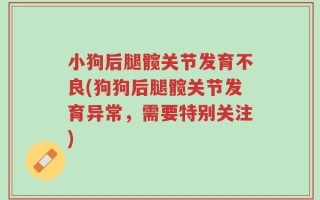 小狗后腿髋关节发育不良(狗狗后腿髋关节发育异常，需要特别关注)