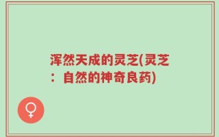 浑然天成的灵芝(灵芝：自然的神奇良药)