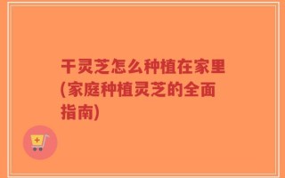 干灵芝怎么种植在家里(家庭种植灵芝的全面指南)