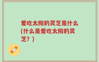 爱吃太阳的灵芝是什么(什么是爱吃太阳的灵芝？)