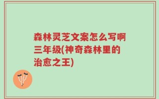 森林灵芝文案怎么写啊三年级(神奇森林里的治愈之王)