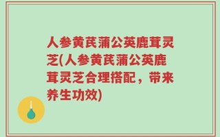 人参黄芪蒲公英鹿茸灵芝(人参黄芪蒲公英鹿茸灵芝合理搭配，带来养生功效)