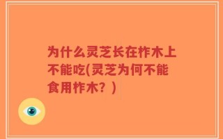 为什么灵芝长在柞木上不能吃(灵芝为何不能食用柞木？)