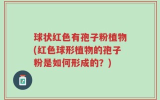 球状红色有孢子粉植物(红色球形植物的孢子粉是如何形成的？)