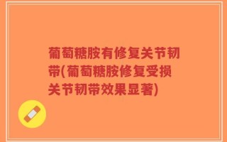 葡萄糖胺有修复关节韧带(葡萄糖胺修复受损关节韧带效果显著)