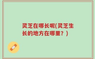 灵芝在哪长呢(灵芝生长的地方在哪里？)