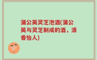 蒲公英灵芝泡酒(蒲公英与灵芝制成的酒，清香怡人)