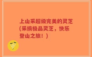 上山采超级完美的灵芝(采摘极品灵芝，快乐登山之旅！)