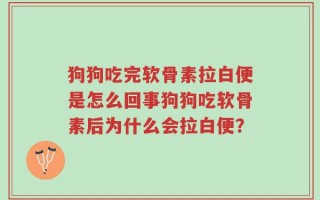 狗狗吃完软骨素拉白便是怎么回事狗狗吃软骨素后为什么会拉白便？