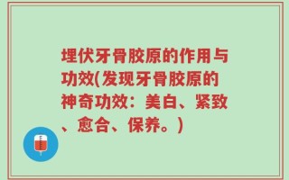 埋伏牙骨胶原的作用与功效(发现牙骨胶原的神奇功效：美白、紧致、愈合、保养。)