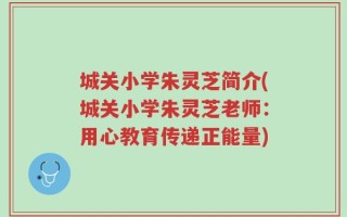 城关小学朱灵芝简介(城关小学朱灵芝老师：用心教育传递正能量)