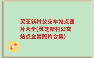 灵芝新村公交车站点图片大全(灵芝新村公交站点全景照片合集)