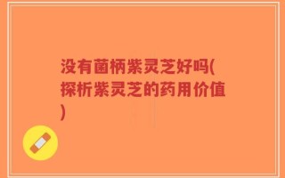 没有菌柄紫灵芝好吗(探析紫灵芝的药用价值)