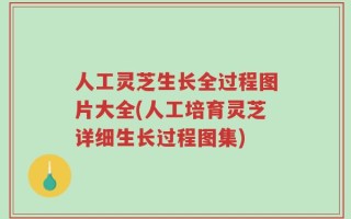 人工灵芝生长全过程图片大全(人工培育灵芝详细生长过程图集)