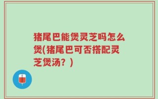 猪尾巴能煲灵芝吗怎么煲(猪尾巴可否搭配灵芝煲汤？)