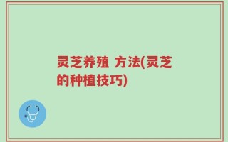 灵芝养殖 方法(灵芝的种植技巧)