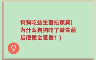 狗狗吃益生菌拉屎臭(为什么狗狗吃了益生菌后便便会更臭？)