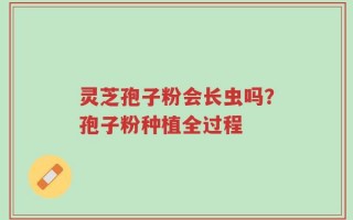 灵芝孢子粉会长虫吗？孢子粉种植全过程