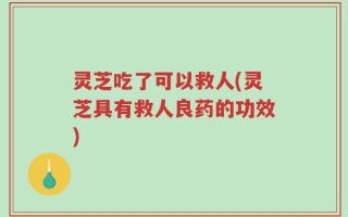 灵芝吃了可以救人(灵芝具有救人良药的功效)