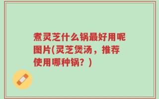 煮灵芝什么锅最好用呢图片(灵芝煲汤，推荐使用哪种锅？)