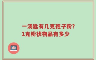 一汤匙有几克孢子粉？1克粉状物品有多少