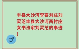 丰县大沙河李寨刘庄刘灵芝丰县大沙河两村庄女书法家刘灵芝的事迹)
