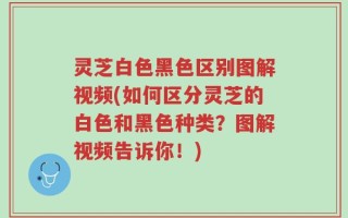 灵芝白色黑色区别图解视频(如何区分灵芝的白色和黑色种类？图解视频告诉你！)