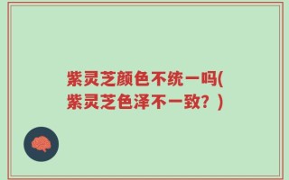 紫灵芝颜色不统一吗(紫灵芝色泽不一致？)