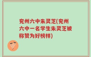 兖州六中朱灵芝(兖州六中一名学生朱灵芝被称赞为好榜样)