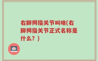 右脚拇指关节叫啥(右脚拇指关节正式名称是什么？)