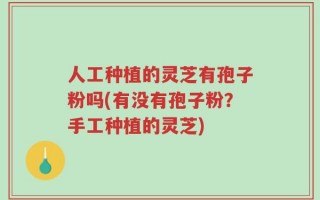 人工种植的灵芝有孢子粉吗(有没有孢子粉？手工种植的灵芝)