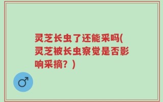 灵芝长虫了还能采吗(灵芝被长虫察觉是否影响采摘？)