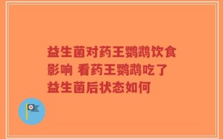 益生菌对药王鹦鹉饮食影响 看药王鹦鹉吃了益生菌后状态如何